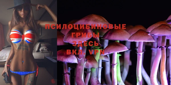 PSILOCYBIN Арсеньев