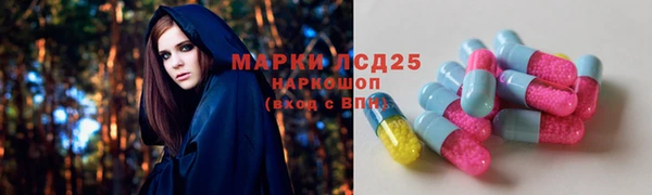 PSILOCYBIN Арсеньев