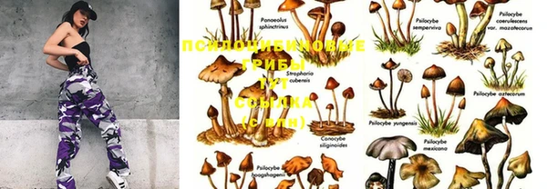 PSILOCYBIN Арсеньев