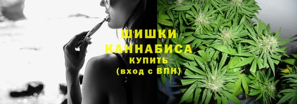 ГАЛЛЮЦИНОГЕННЫЕ ГРИБЫ Алексеевка