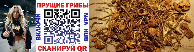 Галлюциногенные грибы GOLDEN TEACHER  Урюпинск 